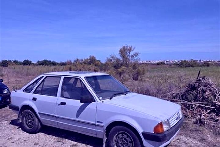 escort Gafanha da Encarnacao