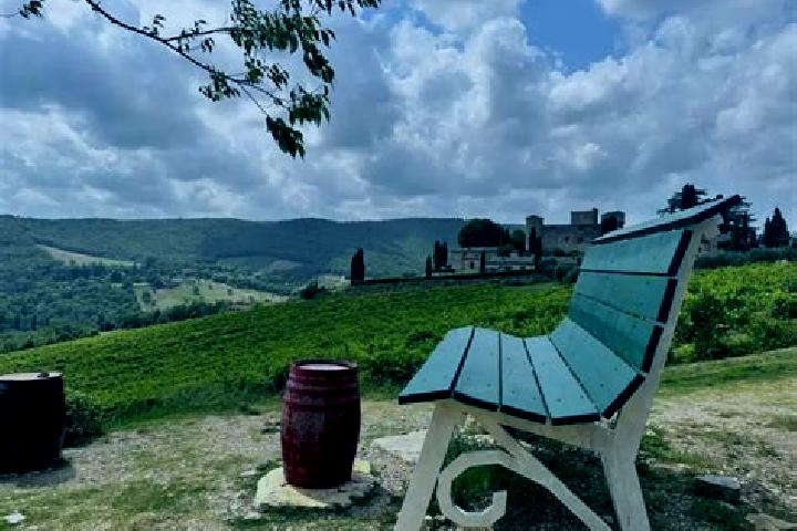 escort Gaiole in Chianti