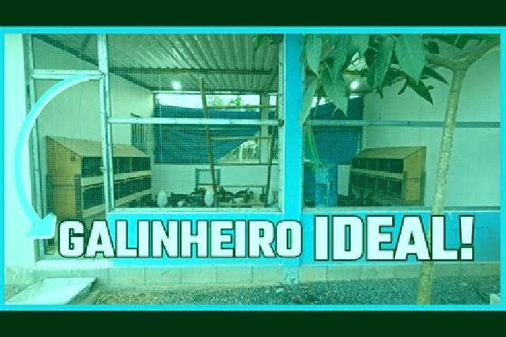 escort Galinheiros