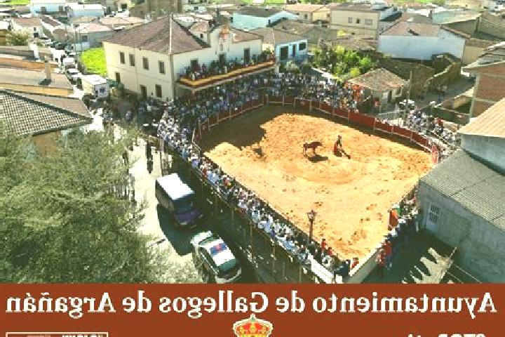 escort Gallegos de Arganan