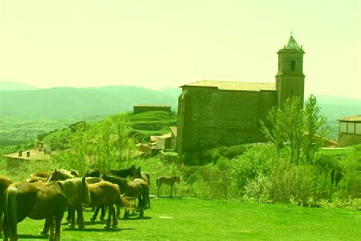 escort Gallinero de Cameros