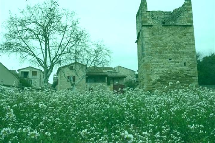 escort Garrigues-Sainte-Eulalie