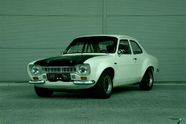 escort Gattico