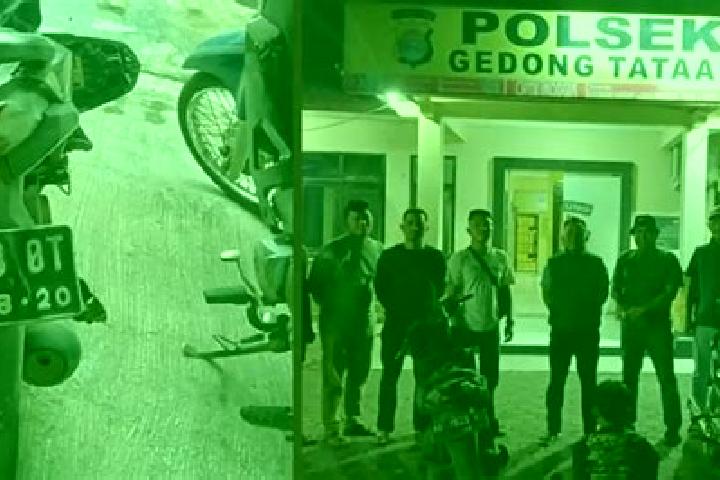 escort Gedong Tataan