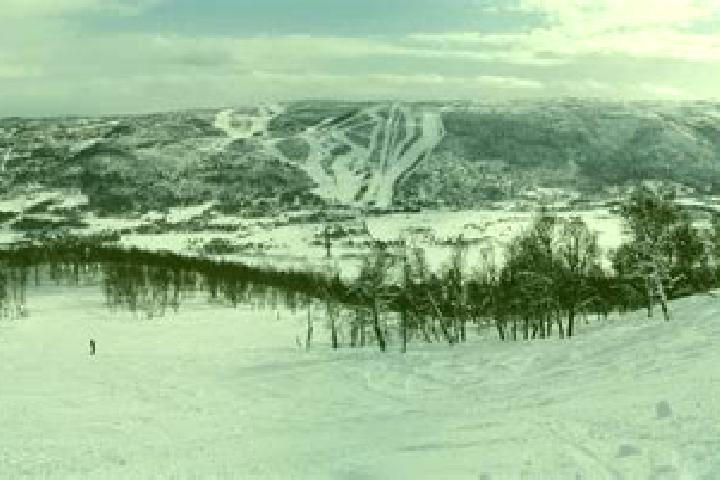 escort Geilo