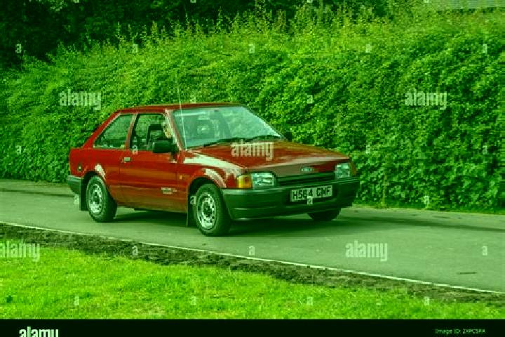 escort Gelendzhik
