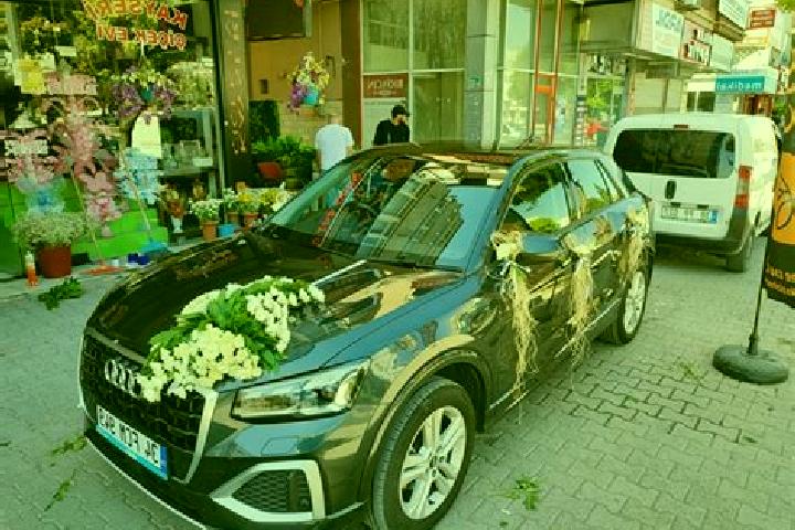 escort Gelin