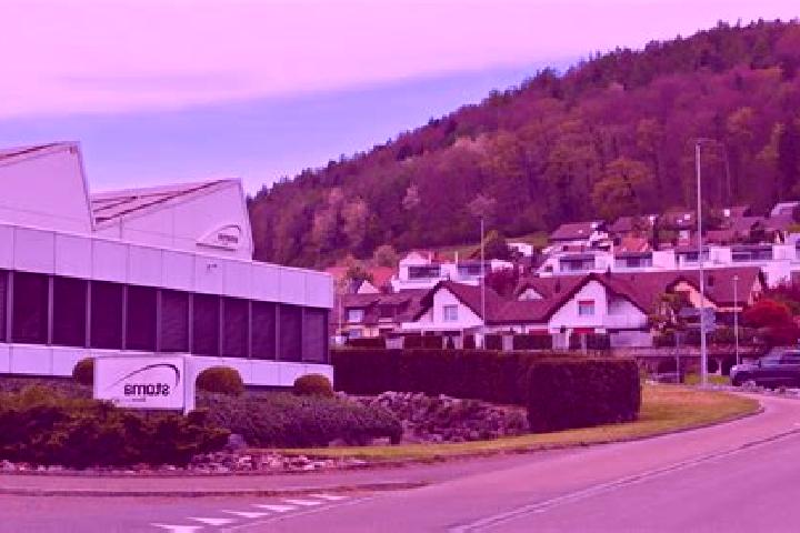 escort Geroldswil