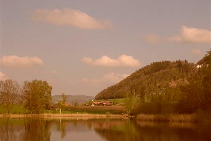 escort Gerzensee