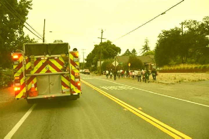 escort Geyserville