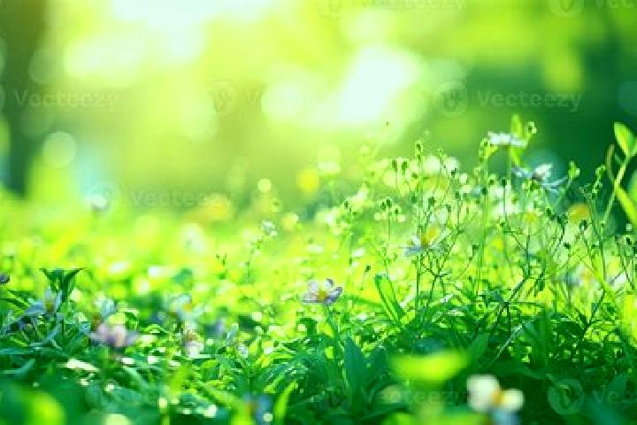 escort Glade Spring