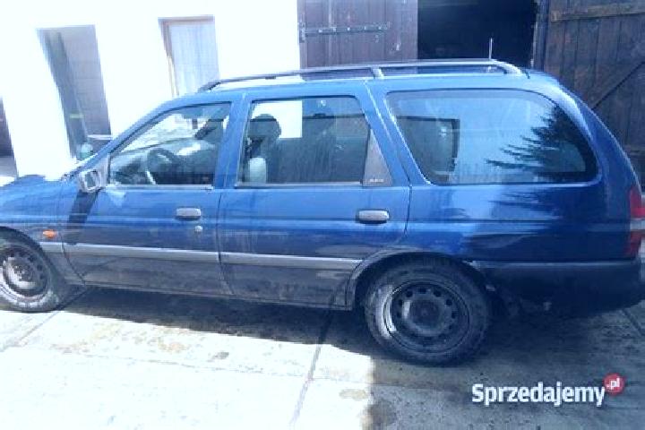escort Gliwice