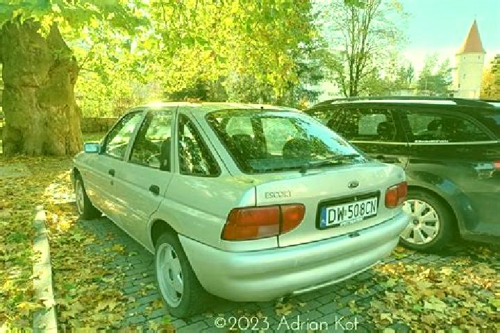 escort Gniew