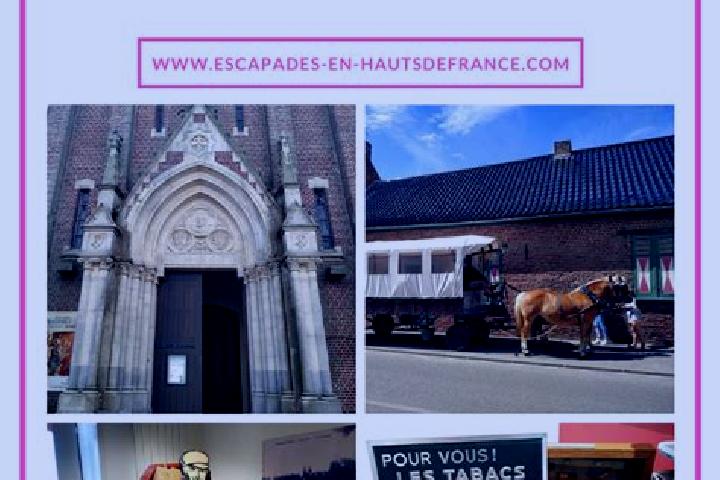 escort Godewaersvelde