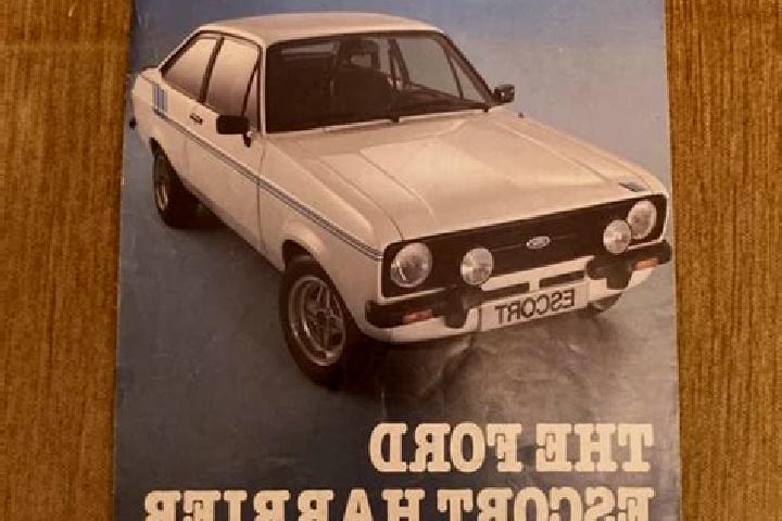escort Goektepe