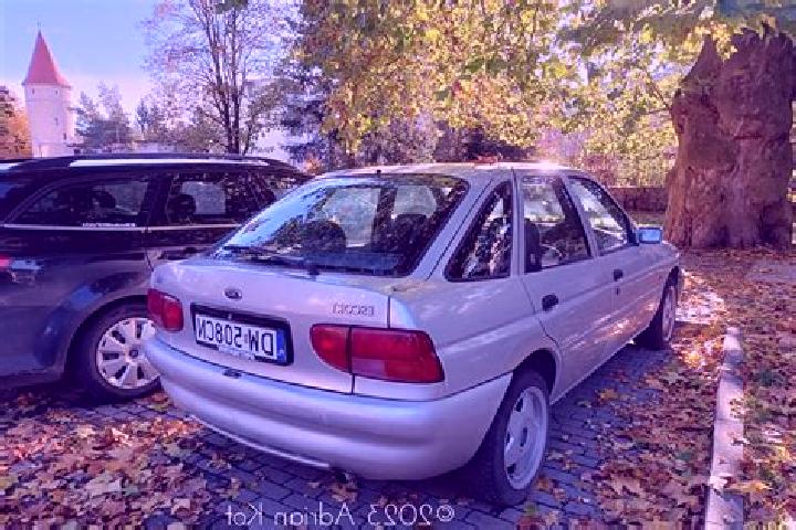 escort Goldbach