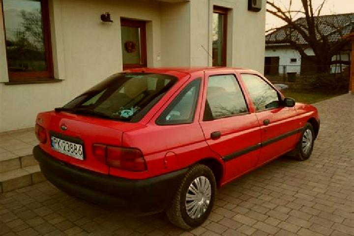escort Goleniow