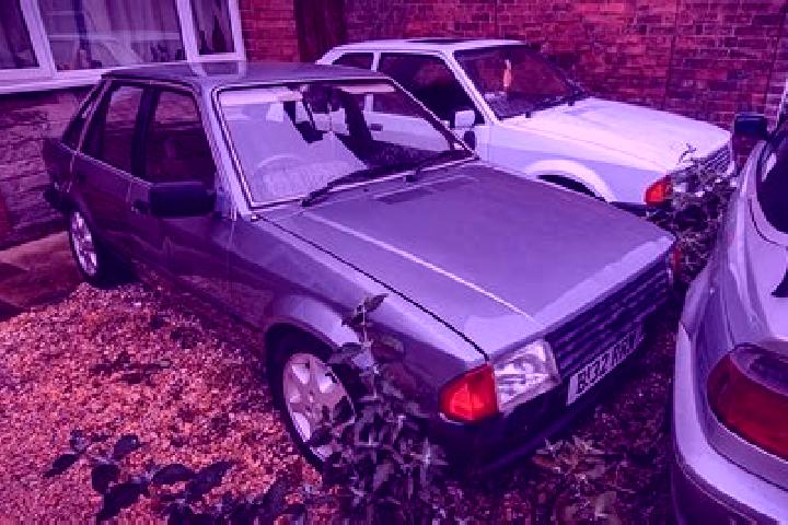 escort Golf