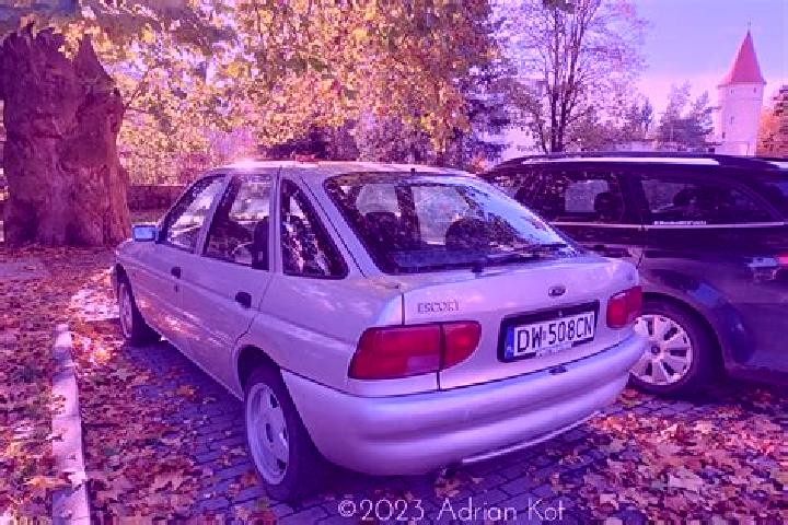 escort Golpayegan