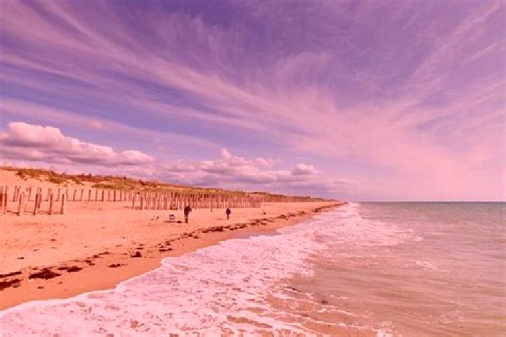 escort Gonneville-sur-Mer