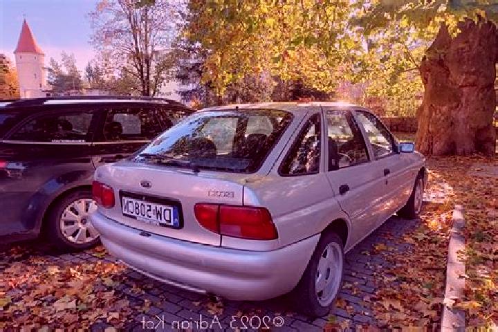 escort Gontepleu