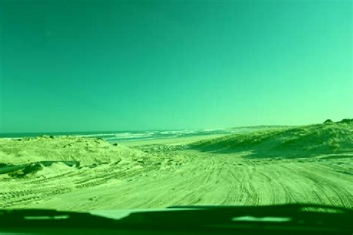 escort Goolwa Beach