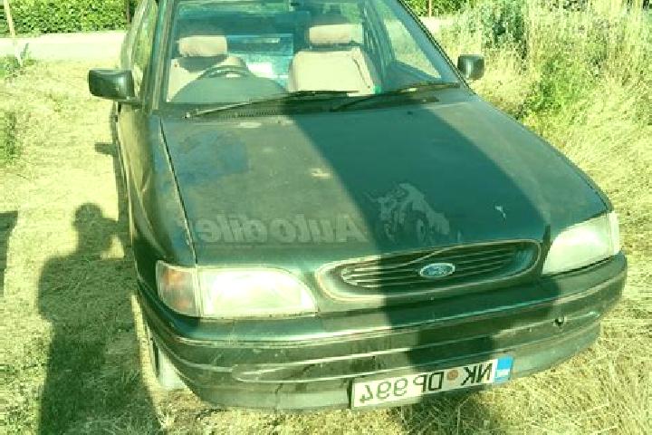 escort Gora