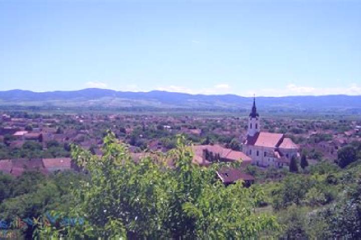 escort Gorna Bela Crkva