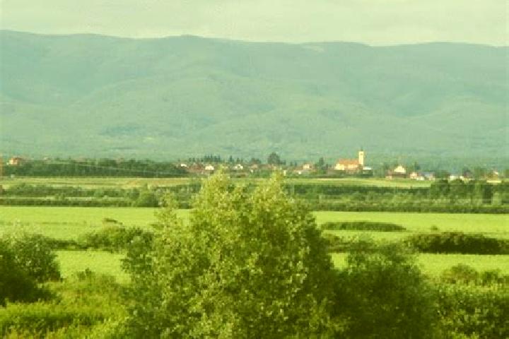 escort Gornji Bogicevci