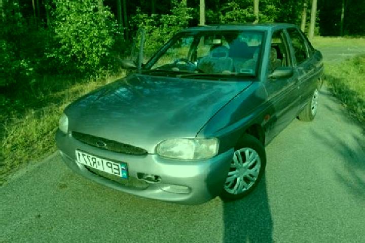 escort Gorzkowice
