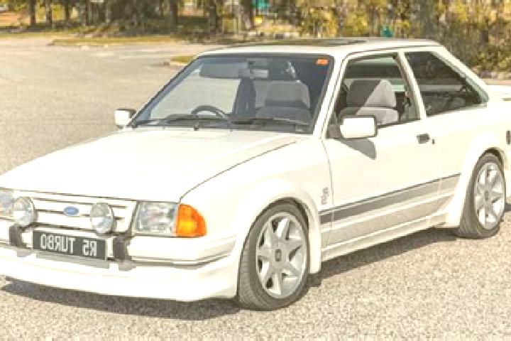escort Gorzno