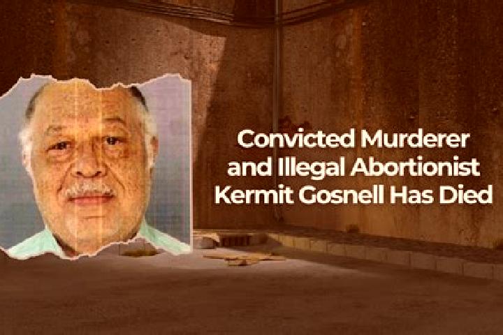 escort Gosnell
