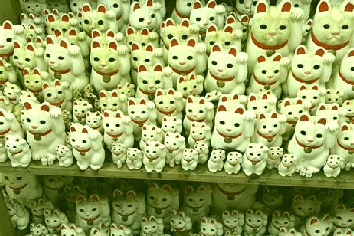 escort Gotokuji