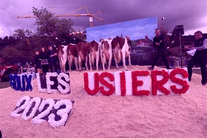 escort Goux-les-Usiers
