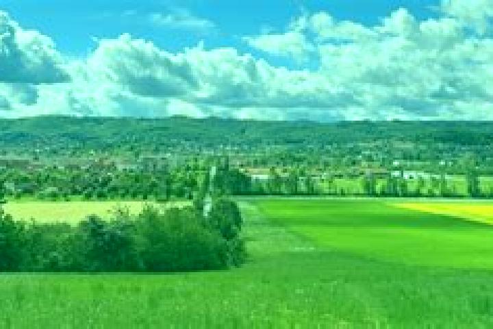 escort Graefenhainichen