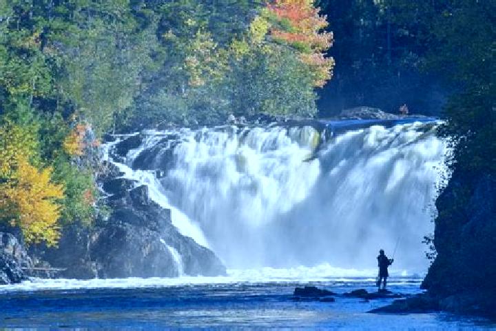 escort Grand Falls