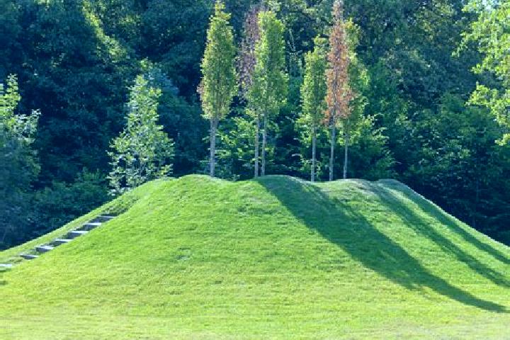 escort Grand Mound