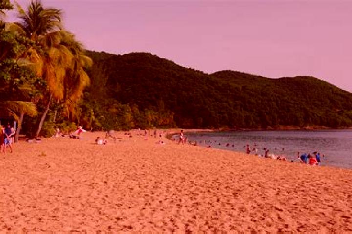 escort Grande-Anse