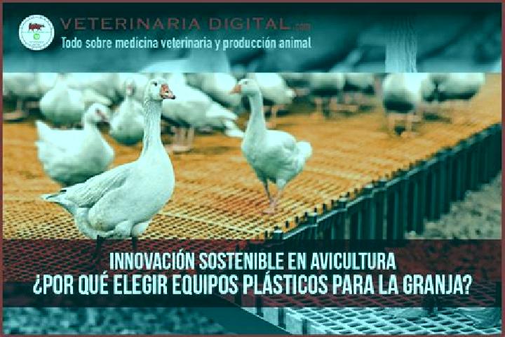 escort Granjas Ampliacion Santa Rosa