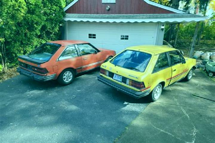 escort Grapeview
