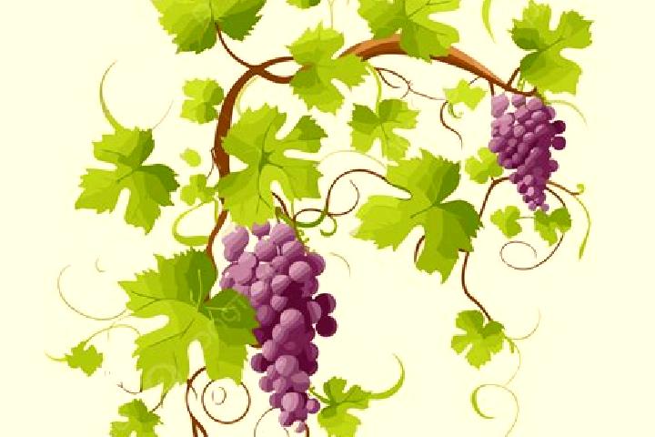 escort Grapevine