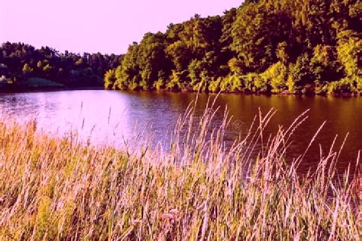 escort Grass Lake