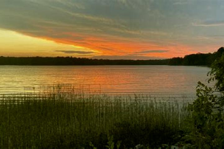 escort Grassy Lake
