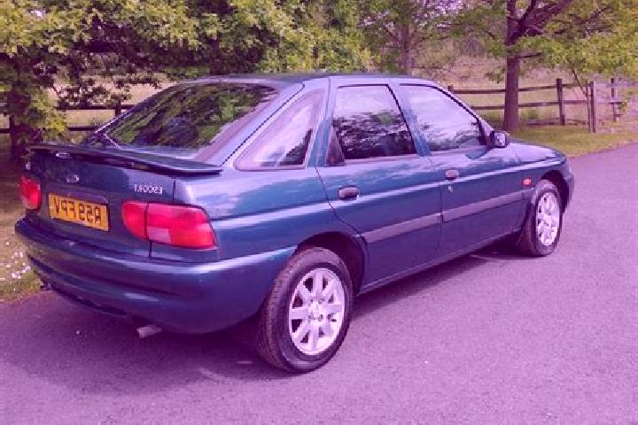 escort Grayshott