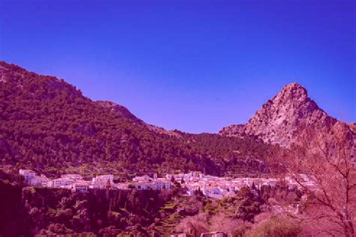 escort Grazalema