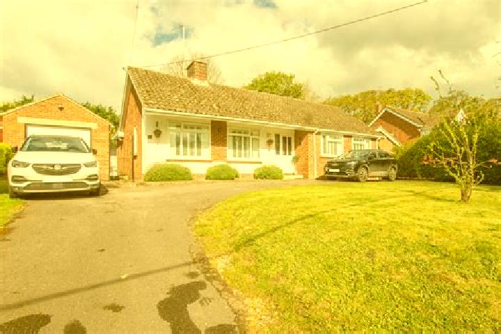 escort Great Yeldham