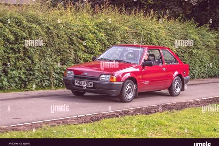 escort Grebnevo
