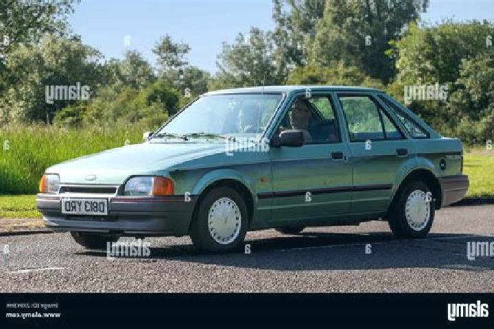 escort Green Forest