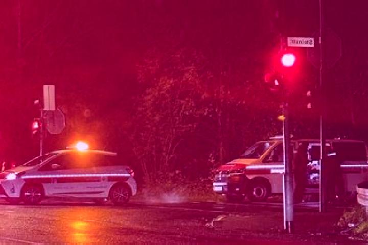 escort Gremberghoven