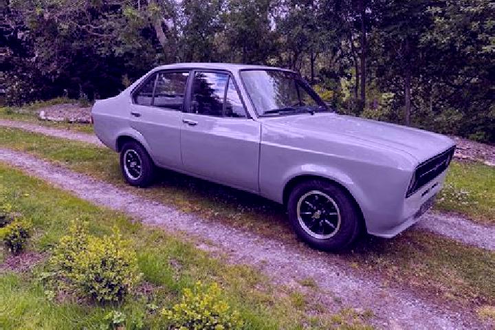 escort Grey Forest